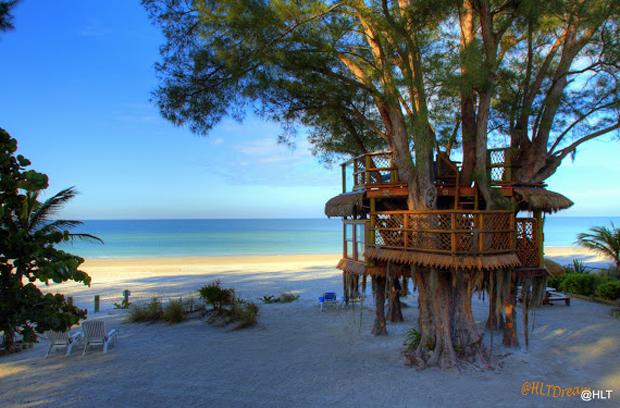 Courtesy of CoolTreeHouse