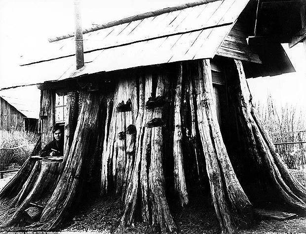 Courtesy of the University of Washington Libraries Digital Collections