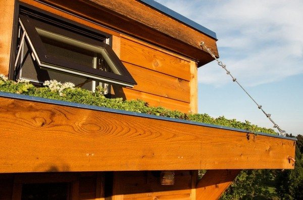 salsa-box-tiny-house-by-shelterwise-0025-600x396