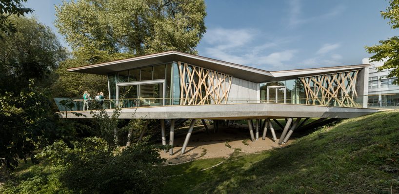 wilkinson-eyre-maggies-centre-oxford-designboom-02
