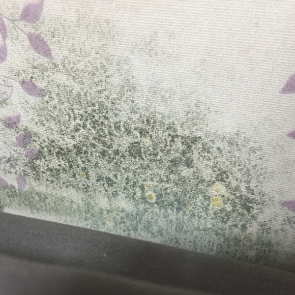 ทาสีหรือติดวอลล์เปเปอร์-ชื้นและเชื้อรา