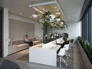 ตกแต่งสำนักงาน