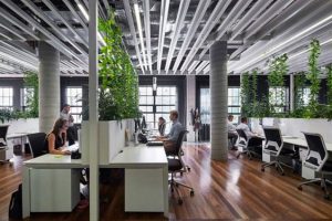 ตกแต่งสำนักงาน