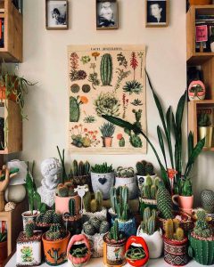 สวนแคคตัส