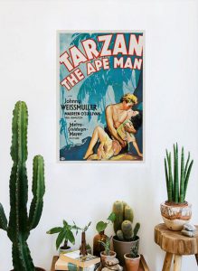 สวนแคคตัส