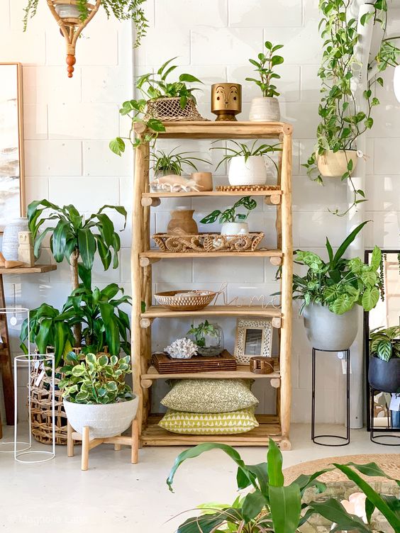 ชั้นวางต้นไม้ทำเอง