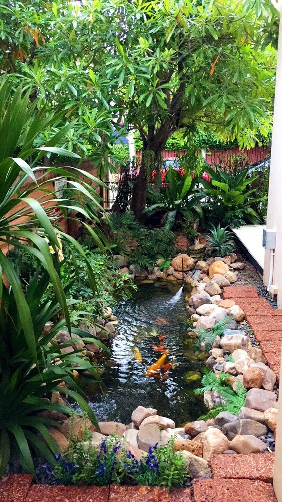 บ่อปลาหน้าบ้าน