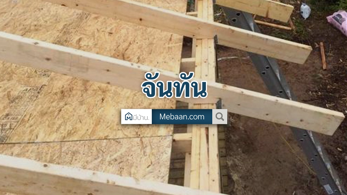 จันทัน คือ