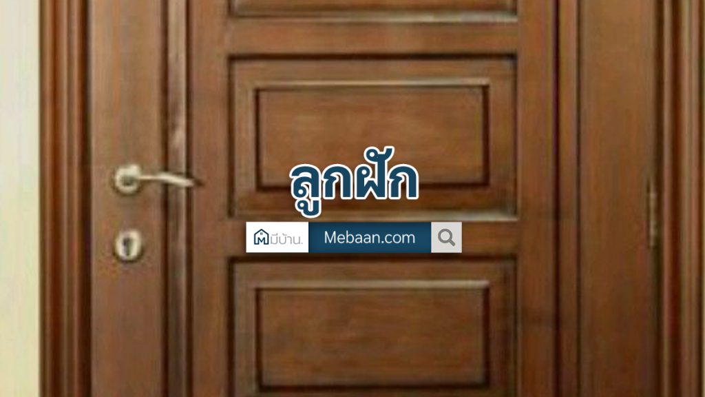 ลูกฟัก คือ