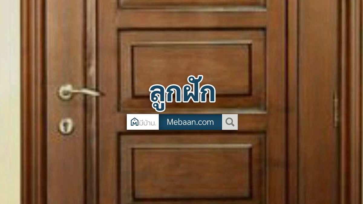 ลูกฟัก คือ