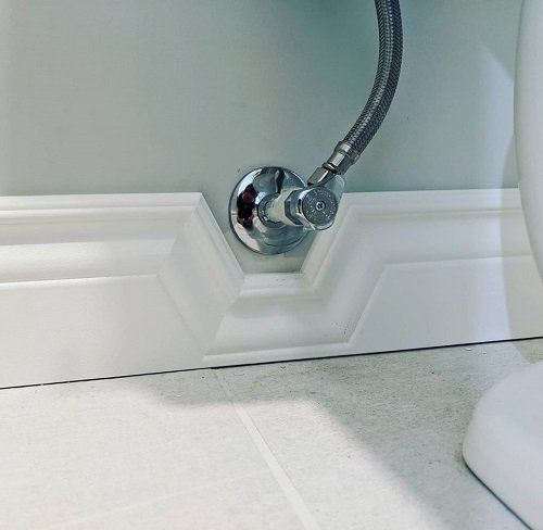 บัวบ้าน